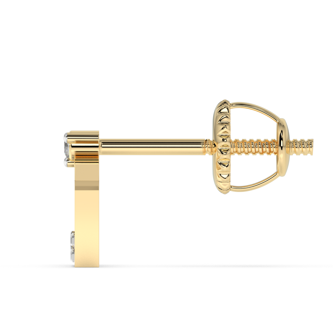 9K Gold Bijou Earrings