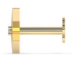 Load image into Gallery viewer, 9K Gold Primavera Nose Pin
