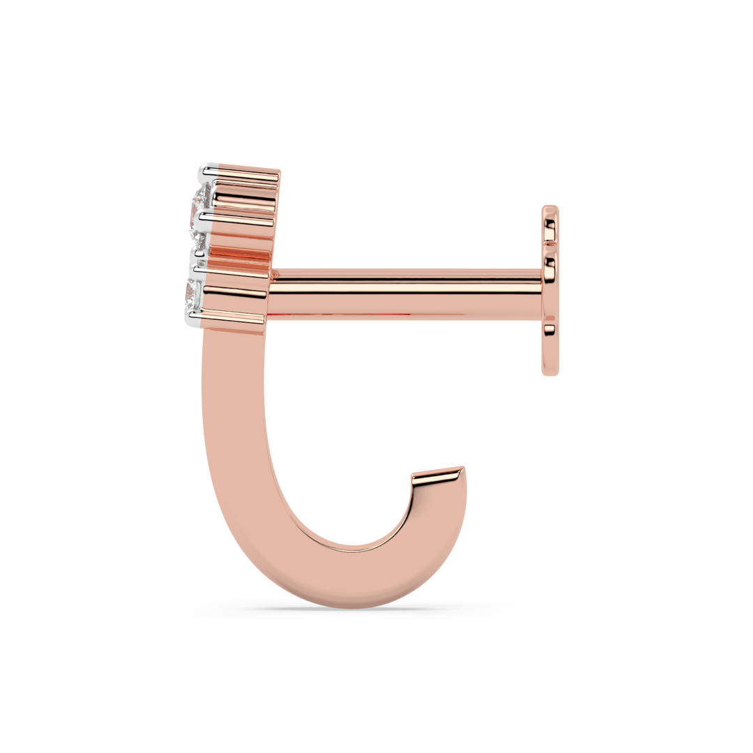 9K Gold Juniper Nose Pin