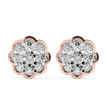 Load image into Gallery viewer, 9K Gold Cerise Earrings
