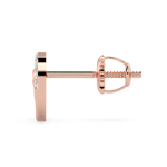 Load image into Gallery viewer, 9K Gold Luna Earrings

